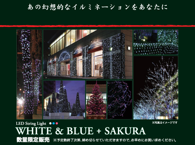 WHITE & BLUE + SAKURA