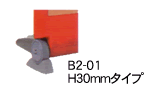 B2-01 H30mm^Cv